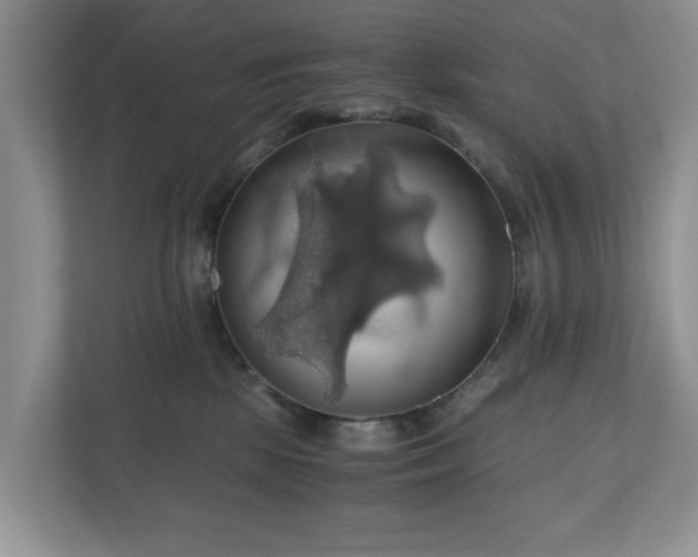 X0000111030281200907021544