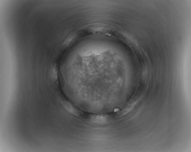 X0000111030282200907021544