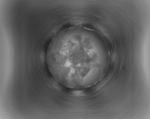 X0000111030283200907021544