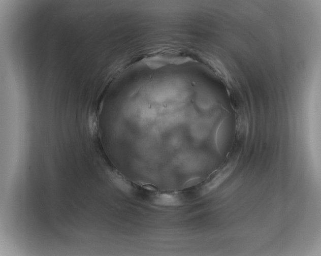 X0000111030285200907021544