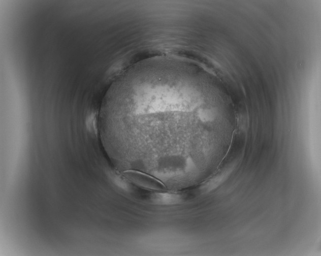 X0000111030286200907021544