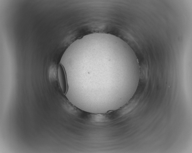 X0000111030287200907021544
