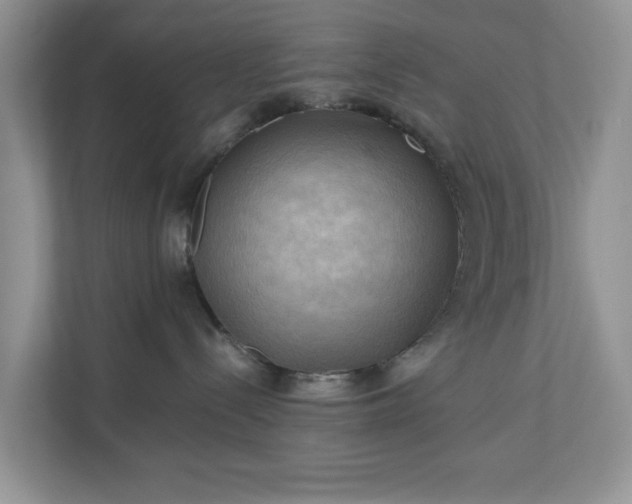 X0000111030288200907021544