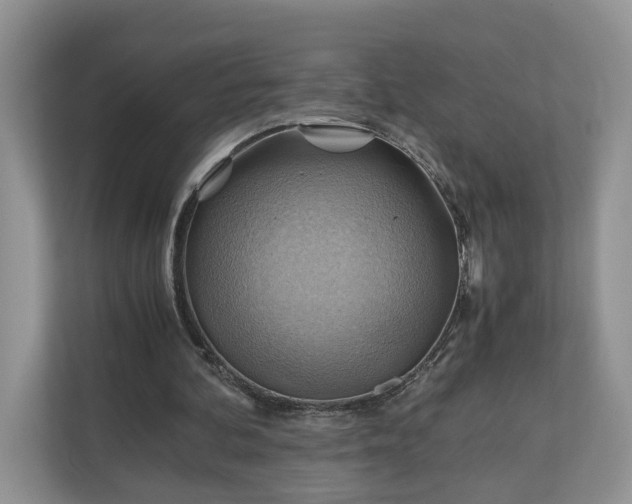 X0000111030292200907021544