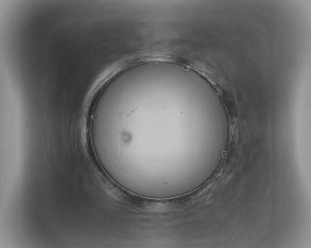 X0000111030293200907021544
