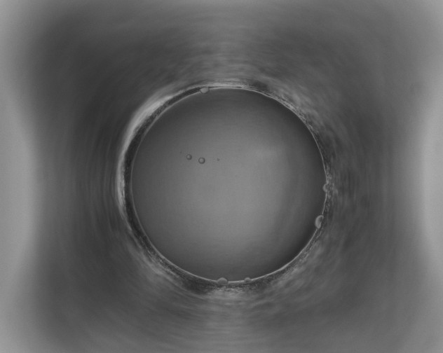 X0000111030294200907021544