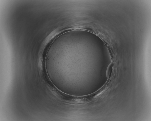 X0000111030295200907021544