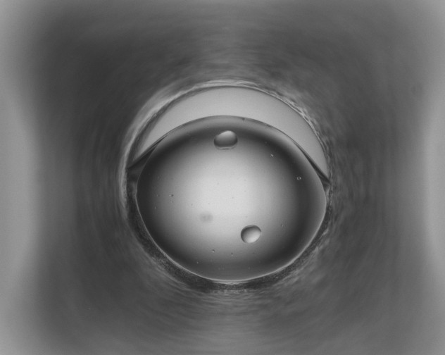 X0000111030296200907021544