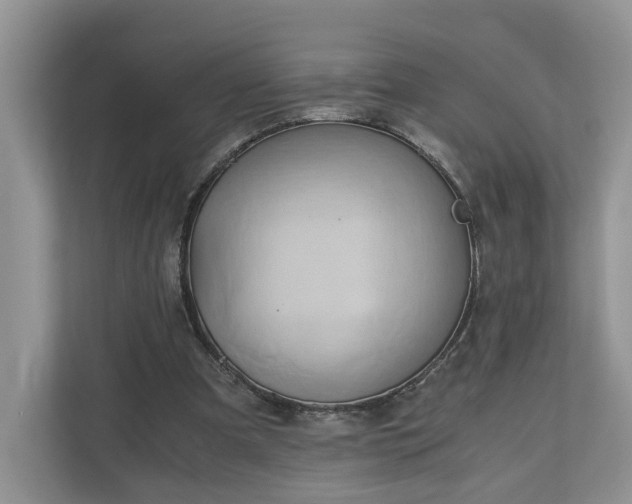 X0000111030297200907021544
