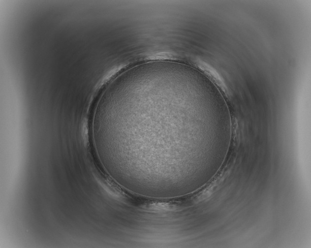 X0000111030298200907021544