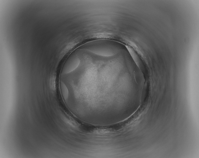 X0000111030299200907021544