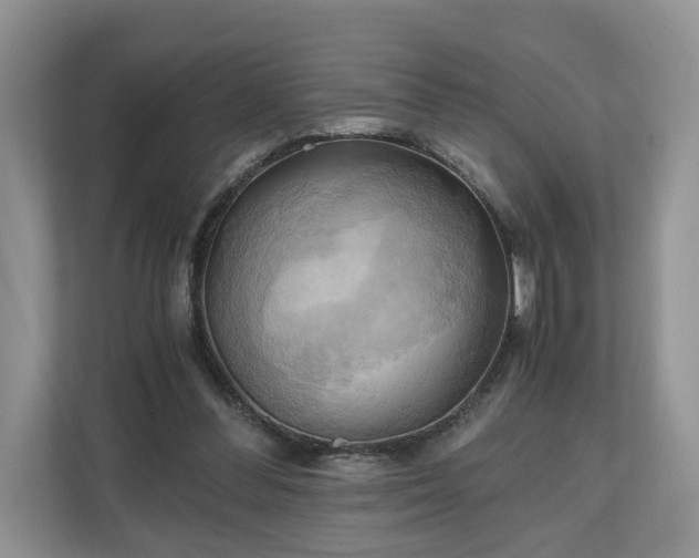 X0000111030300200907021543