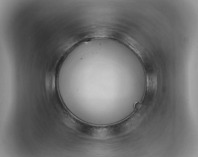 X0000111030301200907021543