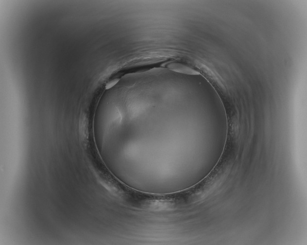 X0000111030303200907021543