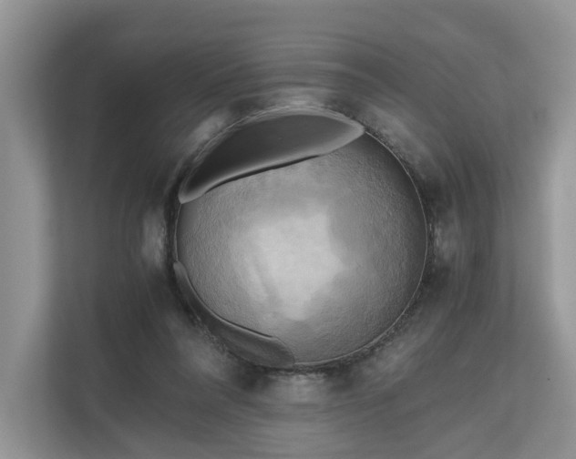 X0000111030304200907021543