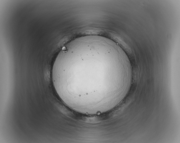 X0000111030309200907021543