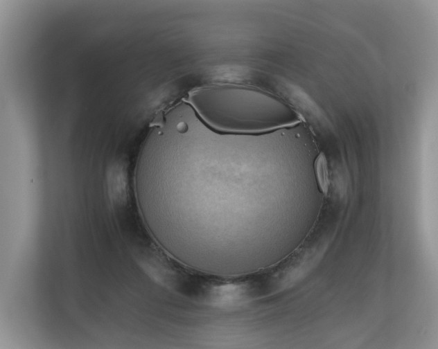 X0000111030312200907021543