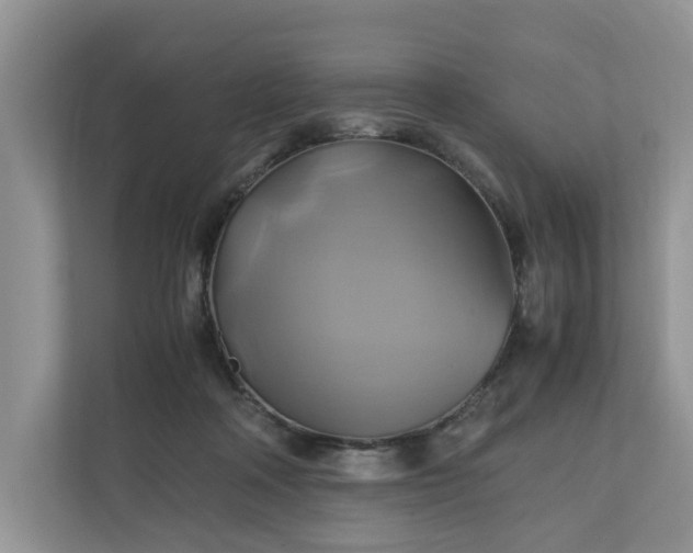 X0000111030314200907021543