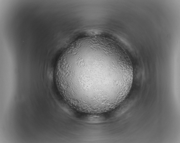 X0000111030315200907021543