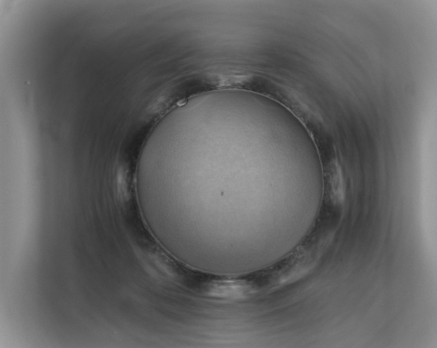 X0000111030316200907021543