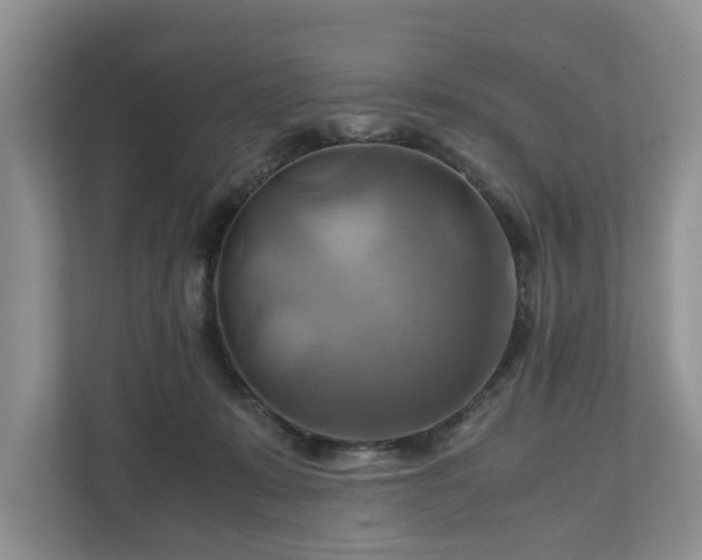 X0000111030319200907021543