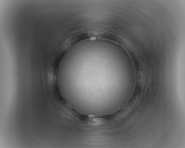 X0000111030324200907021543