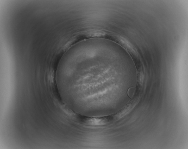 X0000111030326200907021543