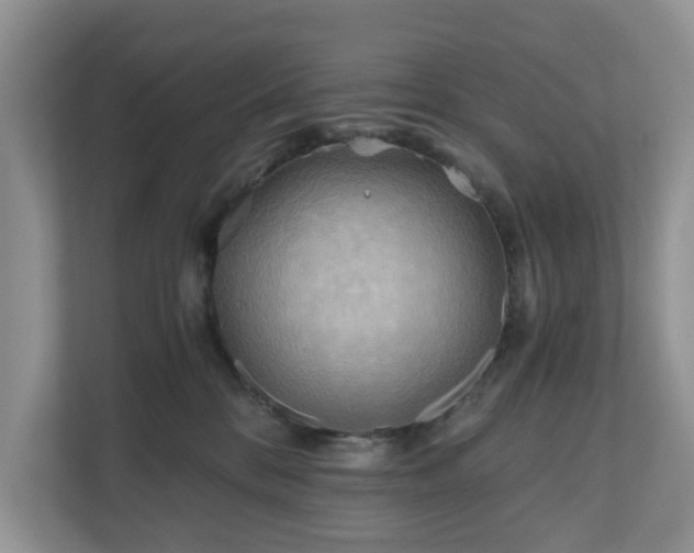 X0000111030328200907021543