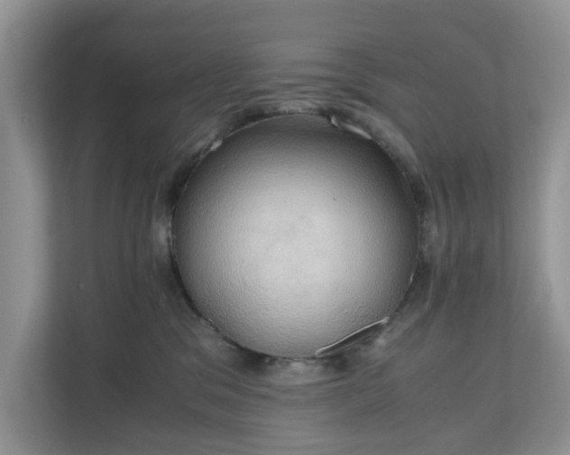 X0000111030329200907021543
