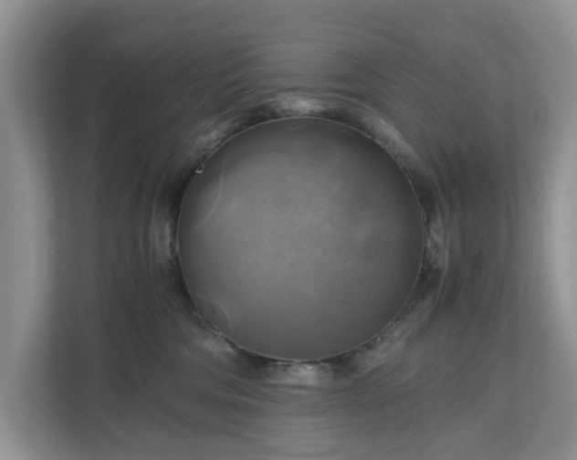 X0000111030330200907021543