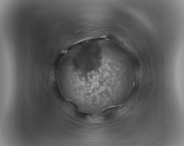X0000111030331200907021543