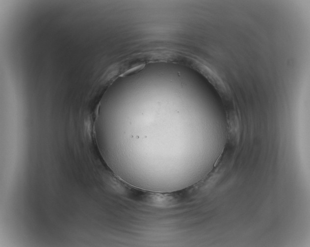 X0000111030333200907021543