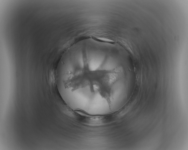 X0000111030335200907021543