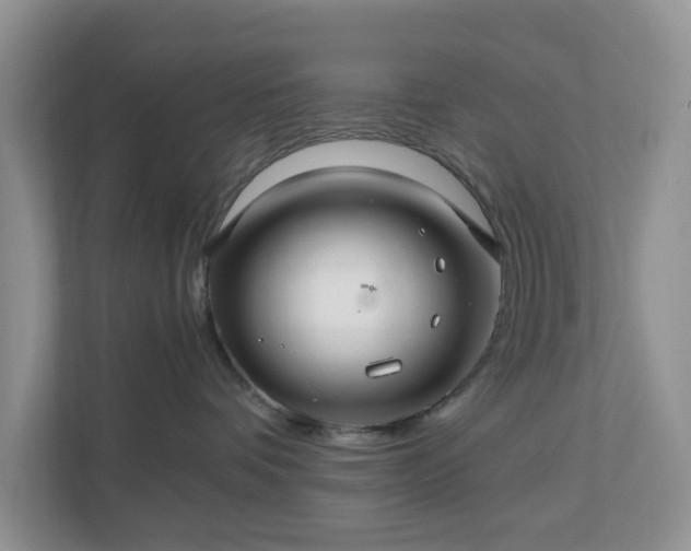 X0000111030336200907021543