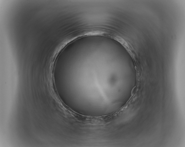 X0000111030337200907021542
