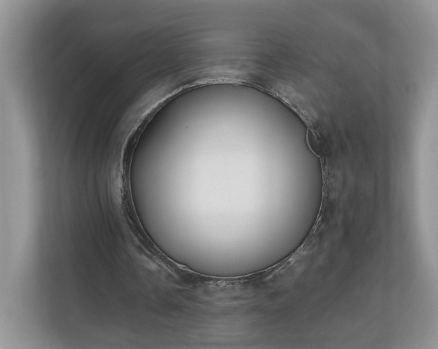 X0000111030338200907021542