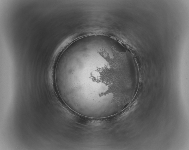 X0000111030341200907021542