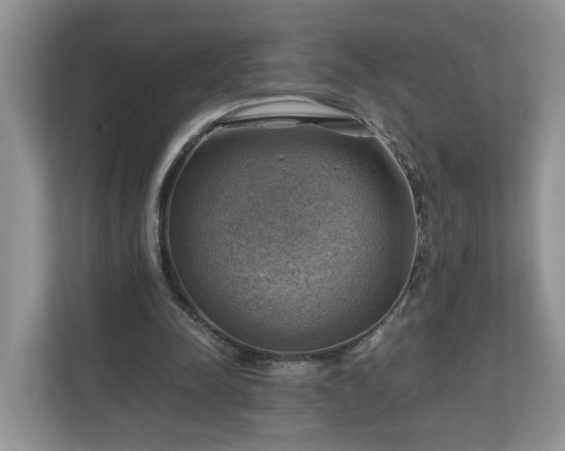 X0000111030342200907021542