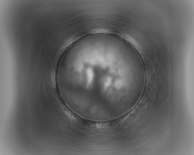 X0000111030345200907021543