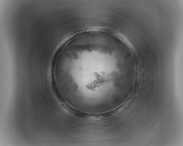 X0000111030346200907021543
