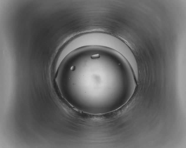 X0000111030350200907021543