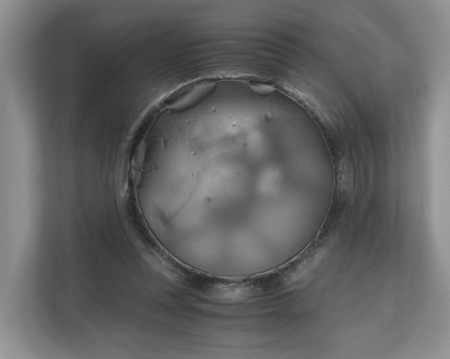 X0000111030351200907021543