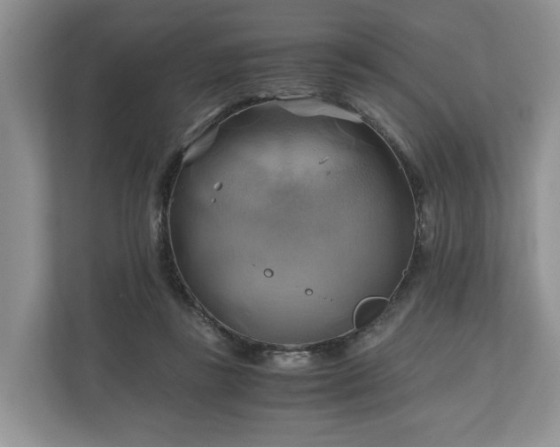 X0000111030355200907021543