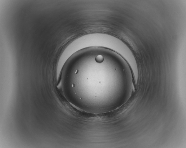 X0000111030356200907021543