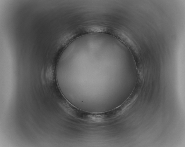 X0000111030359200907021543