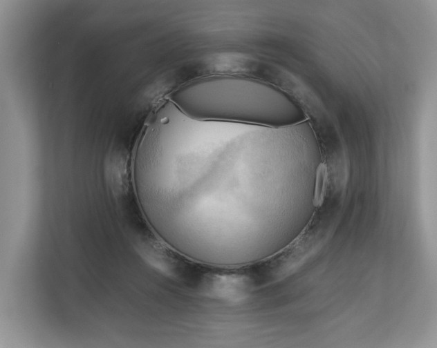 X0000111030360200907021543