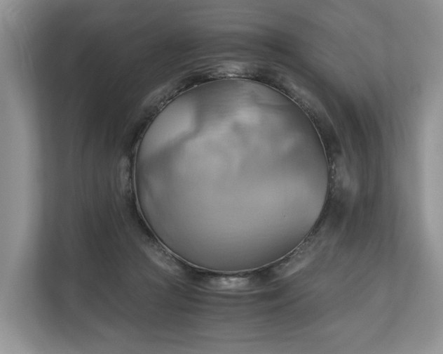 X0000111030361200907021543