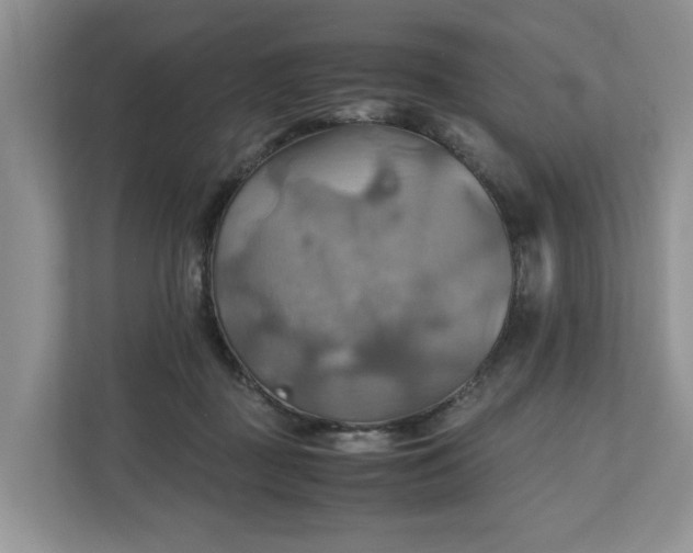 X0000111030363200907021543