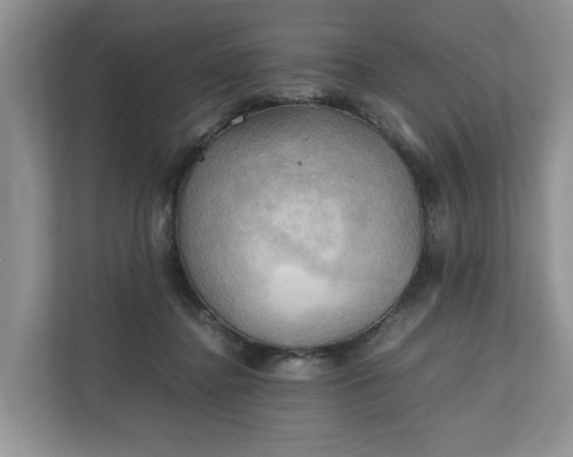 X0000111030364200907021543