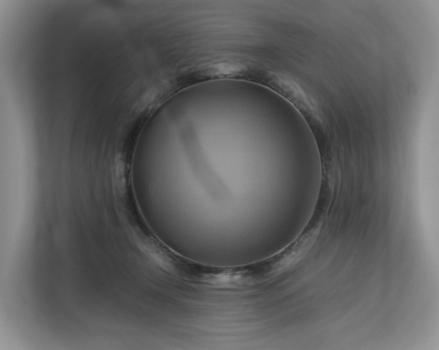 X0000111030366200907021543
